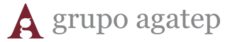 Grupo Agatep Inc.